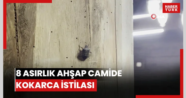 8 asırlık ahşap camide kokarca istilası