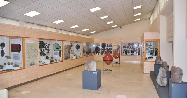 Ani nin hikayesini anlatan sergide 196 eser ilk kez görücüye çıktı Kars Haberleri