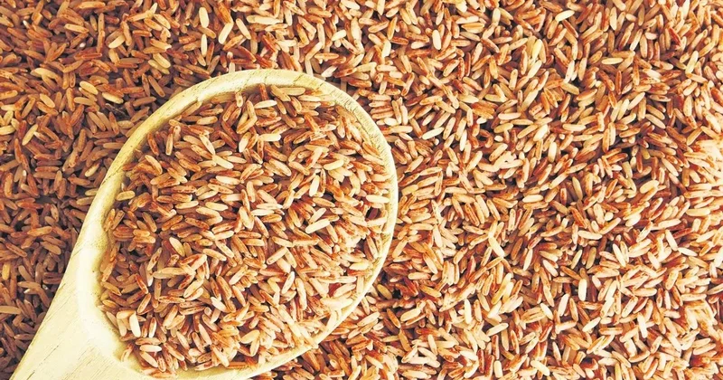 Esmer pirinç kalp sağlığını koruyor