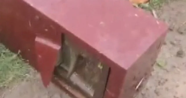 73 yaşındaki adamın evindeki çelik kasa sırra kadem bastı: Olayın arkasından aile çıktı VİDEO İZLE