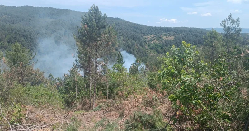 Çanakkale de orman yangını kontrol altına alındı