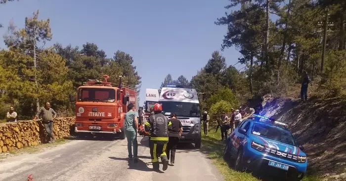 Odun sterine çarpan otomobil takla attı