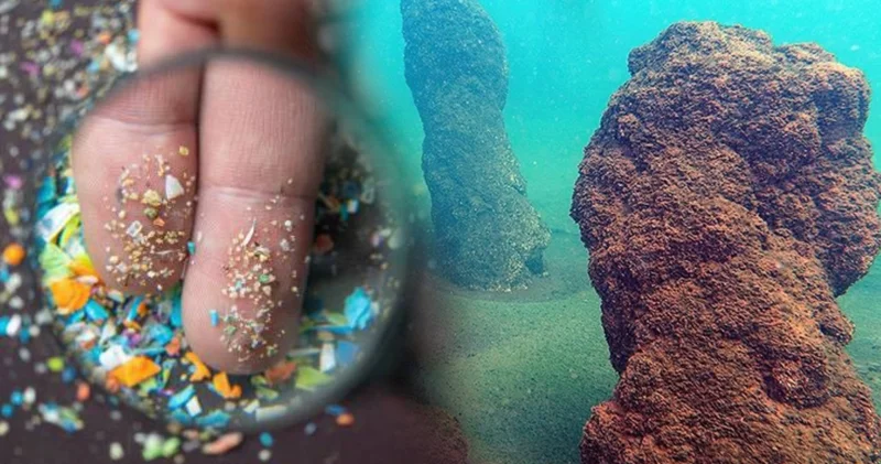 Tatlı su ekosistemleri tehlike altında: Türkiye deki 7 gölde mikroplastik kirliliği araştırıldı