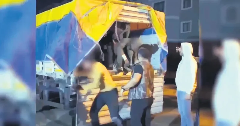 Türkiye düzensiz göçe duvar oldu