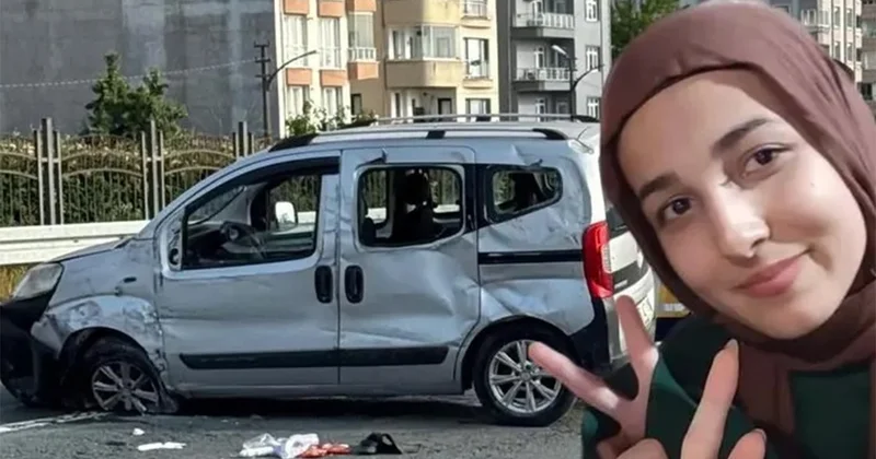 Arı yüzünden çıkan kazada 2 kardeş öldü