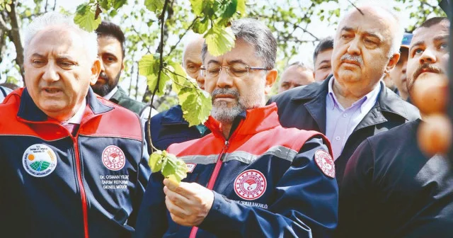Zirai dona yüzde 67’lik devlet teminatı Ekonomi Haberleri