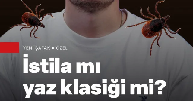 Kene istilası mı sosyal medya abartısı mı? VİDEO İZLE