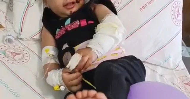 5 inci kattan otomobilin üzerine düşen Rabia Asel e müdahale eden esnaf: Aracın olması mucizeydi Siirt Haberleri