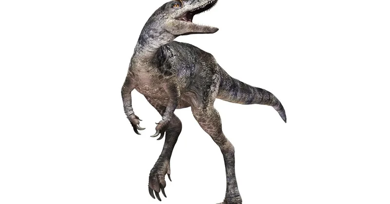 Yeni keşfedilen dinozor türü T.rex in aile ağacını değiştiriyor