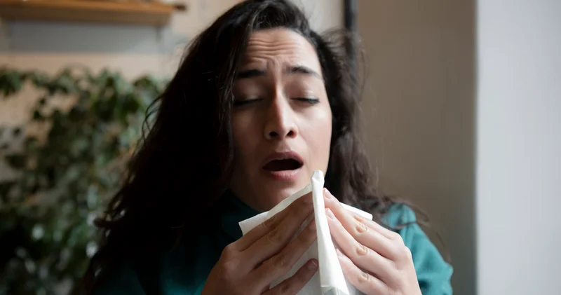 Neden sabahları daha fazla hapşırırız? Alerji mi, grip mi?