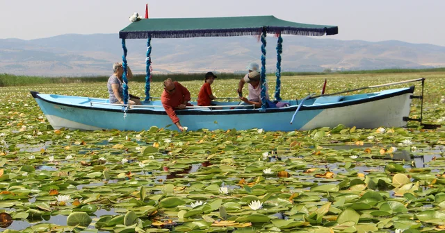 Işıklı Gölü nde nilüfer turizmi Isparta Haberleri
