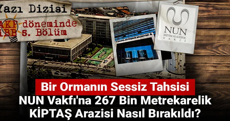 AKP döneminde İBB Bir Ormanın Sessiz Tahsisi: NUN Vakfı na 267 Bin Metrekarelik KİPTAŞ Arazisi Nasıl Bırakıldı?