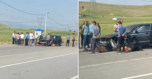 Sürüye dalan otomobil onlarca koyunu telef etti Muş Haberleri