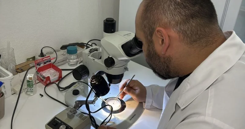 Asya kökenli kenenin hastalık bulaştırma riski ne? Haberler Sağlık Haberleri