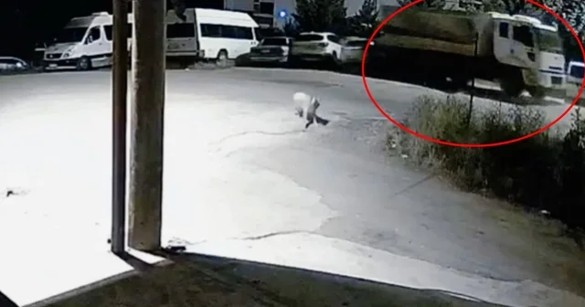 Park halindeyken hareket eden kamyon 5 araca çarptı Tunceli Haberleri