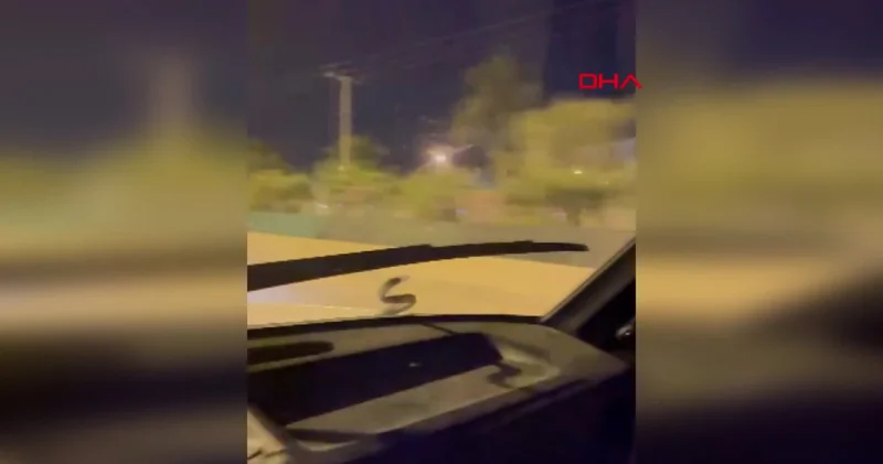 Otomobile giren yılan, seyir halinde ön cama çıktı