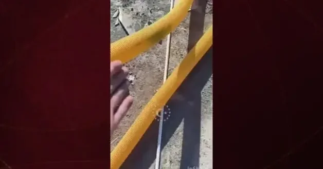 Borunun içine sıkışan minik kedi dakikalar süren çabalarla kurtarıldı