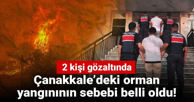 Çanakkale’deki orman yangınının sebebi belli oldu! 2 kişi gözaltında