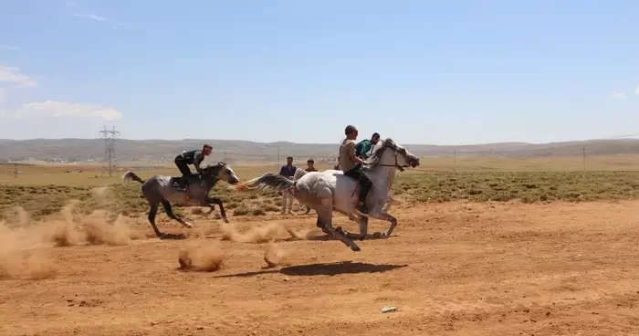 Karlıova’da ‘geleneksel at yarışları’ düzenlendi
