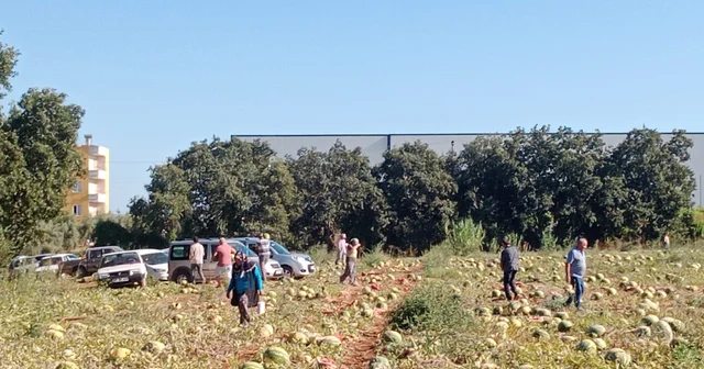 Tarladaki 120 ton karpuzunu hayrına dağıttı Antalya Haberleri