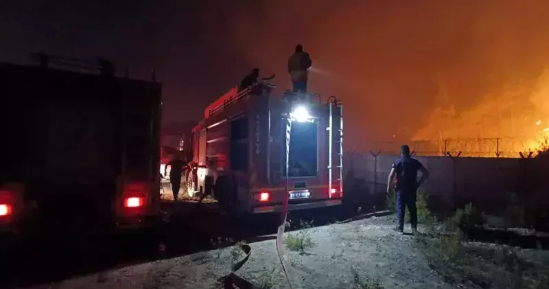 Suriye’den Hatay’a sıçrayan yangın kontrol altına alındı