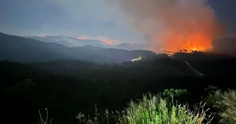 Hatay Yayladağı ndaki yangınlara müdahale sürüyor: 734 personel, 7 uçak, 14 helikopter, 215 araç
