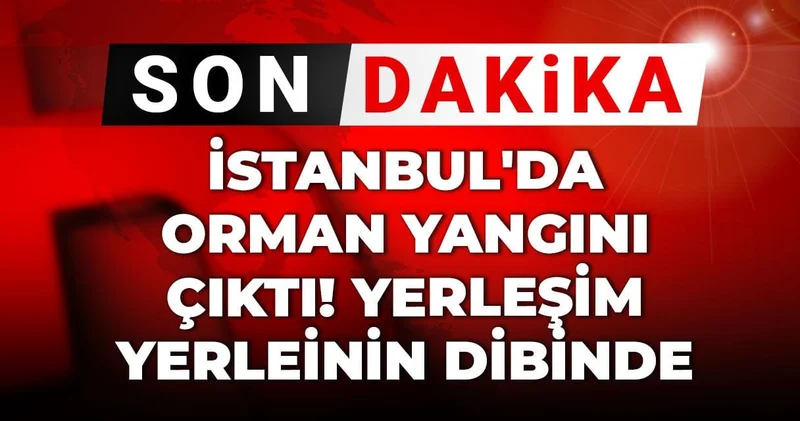 Son Dakika İstanbul da orman yangını çıktı! Yerleşim yerleinin dibinde