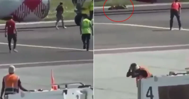 Apronda dehşet! Koşarak uçağın motorunun içine atladı