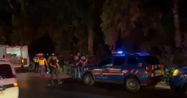 Yoldan çıkan otomobil ağaçlık alana düştü: 2 ölü Aydın Haberleri