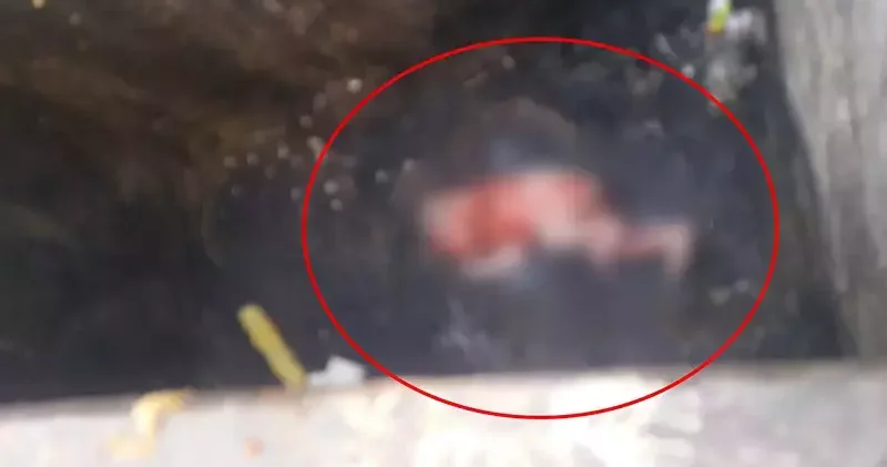 Doğurup çöp konteynerine attığı bebeği esnaf fark etti; anne gözaltında