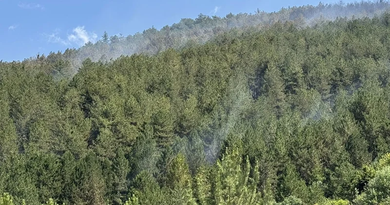 Çankırı daki yangında 40 hektar orman zarar gördü