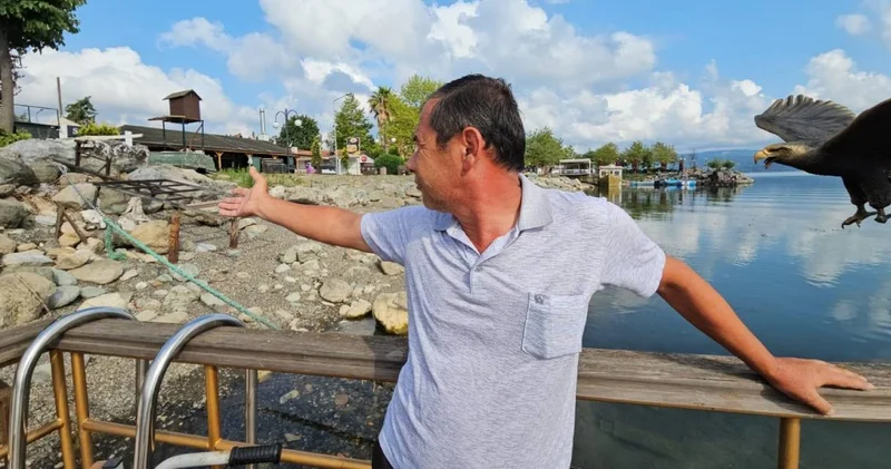 Sapanca Gölü nde alarm: İlk defa böyle gördüm!