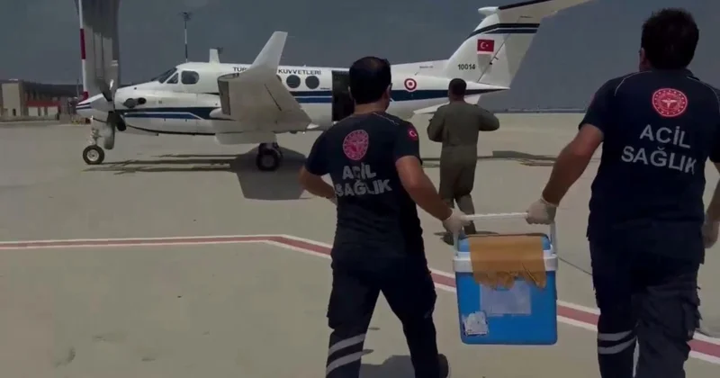 Beyin ölümü gerçekleşen gencin organları 2 kişiye umut oldu