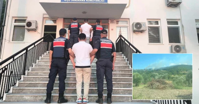 Çanakkale deki orman yangını sigara izmaritinden çıkmış Çanakkale Haberleri