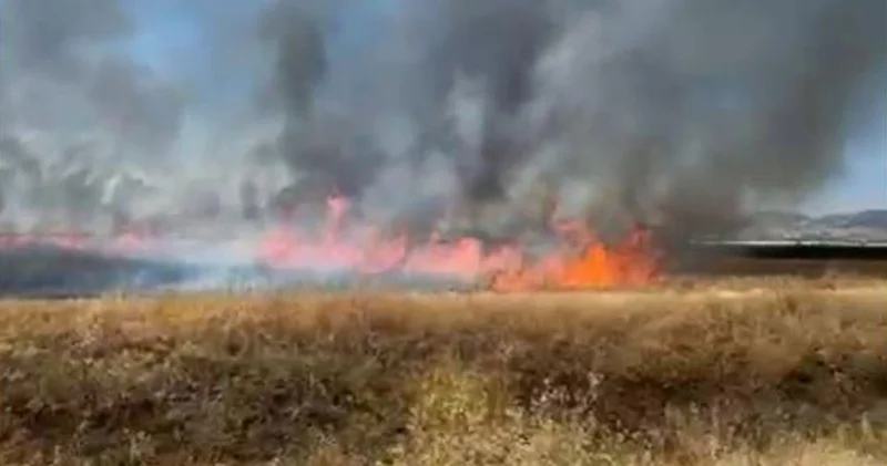 Burdur da çıkan yangında 50 dönüm arazi küle döndü