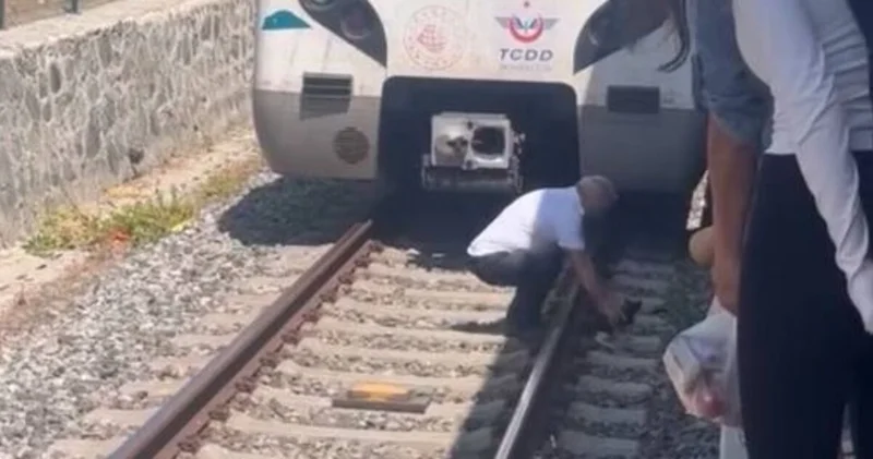 Son dakika: Bakırköy de raylarda duran yavru kediyi fark eden makinist treni durdurdu Son dakika haberleri