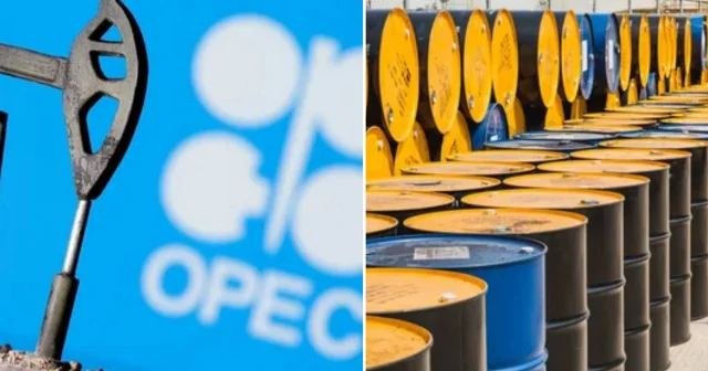 OPEC in ham petrol üretimi temmuzda günlük 263 bin varil arttı Dünya Haberleri