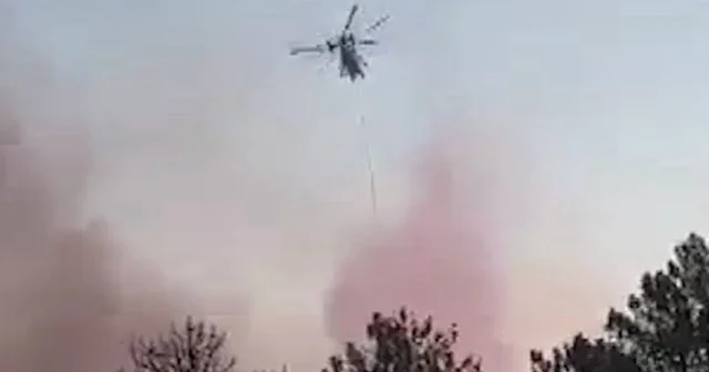 Edirne de orman yangınına gün aydınlanınca havadan müdahale başladı VİDEO İZLE