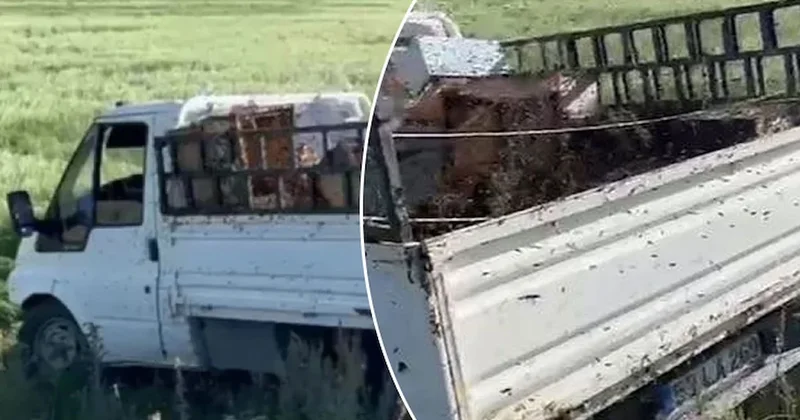 Bal yüklü kamyonet kaza yaptı, etrafını arılar sardı Sözcü Gazetesi