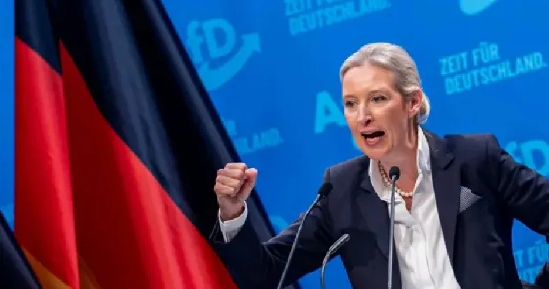 Anket: Almanya da aşırı sağcı AfD Partisi yeniden birinci sıraya yükseldi