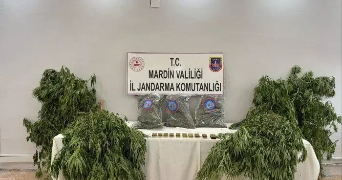 Mardin de uyuşturucu operasyonu! Yakalanan zanlı tutuklandı