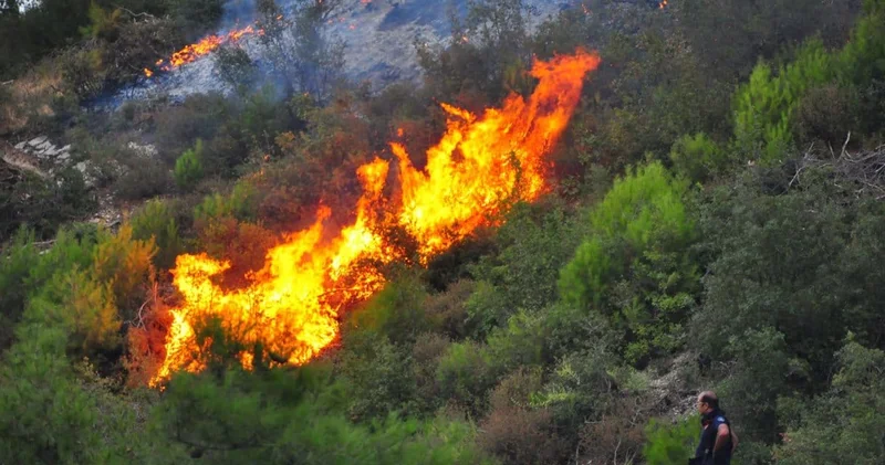Manisa daki orman yangınlarından biri kontrol altında