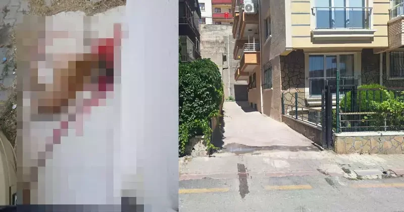 Polis, kendisine saldırdığını iddia ettiği sokak köpeğini tabancayla öldürdü