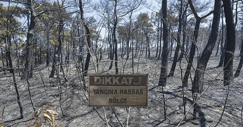 Orman yangınlarıyla mücadele sürüyor: Çanakkale de alevler kontrol altına alındı! Uşak ta alevlerle mücadele devam ediyor