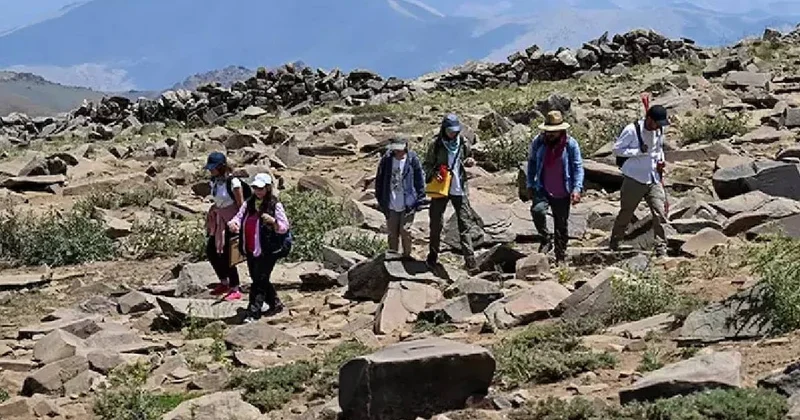 Van da 3 bin rakımdaki yaylada keşfedildi! İlk gün 300 tane bulundu Sözcü Gazetesi