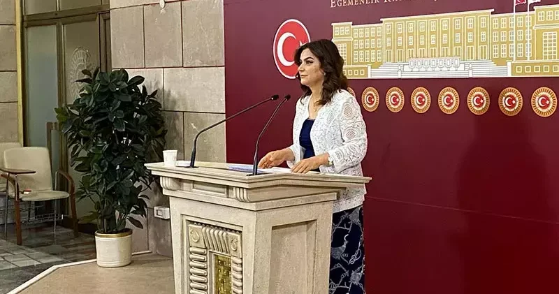 DEM Parti li Koçyiğit: Komisyon, sürecin hukuksal teminatını sağlamalı