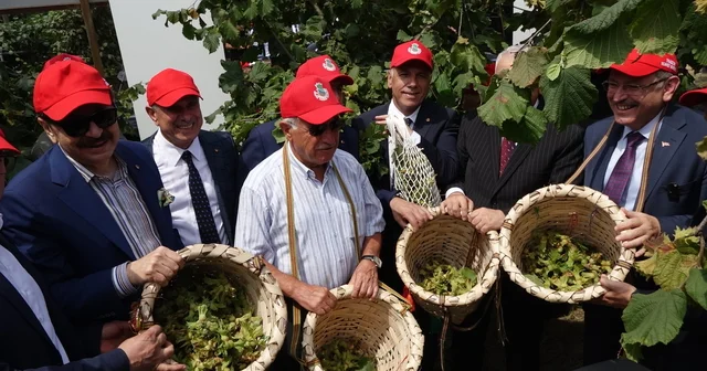 Trabzon da Dünya Fındık Haftası etkinliği Trabzon Haberleri