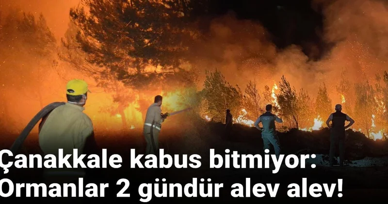 Çanakkale kabus bitmiyor: Ormanlar 2 gündür alev alev!