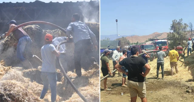 İzmir de çiftlik yangını: 16 büyükbaş hayvan telef oldu İzmir Haberleri