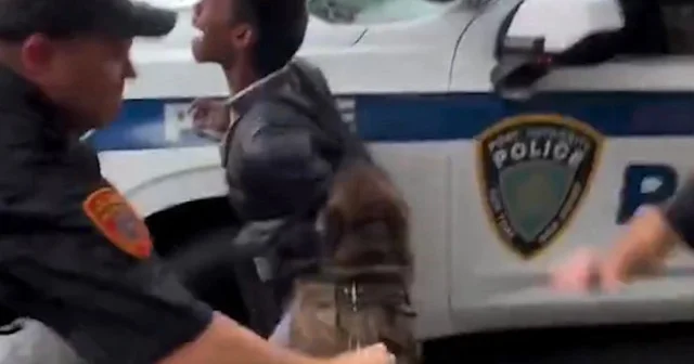 New York ta K 9 dehşeti: Polis köpeği tasmasından kurtulup bir sivili ısırdı VİDEO İZLE